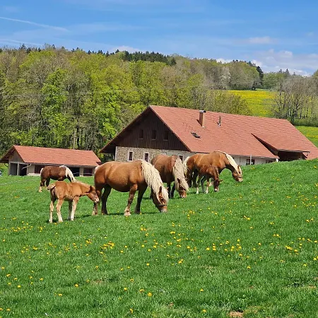Gite Du Cheval Blanc Arcon  Exterior foto