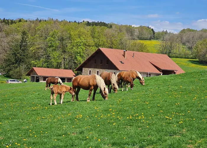 Gite Du Cheval Blanc