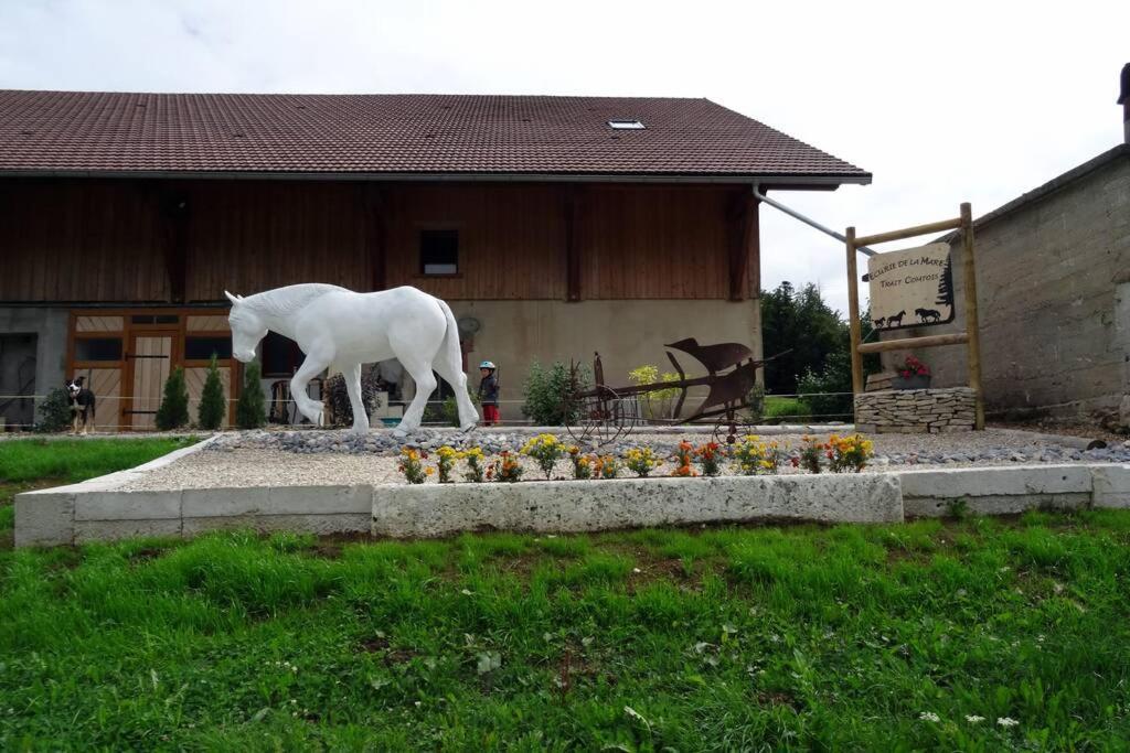 Holiday home Du Cheval Blanc *