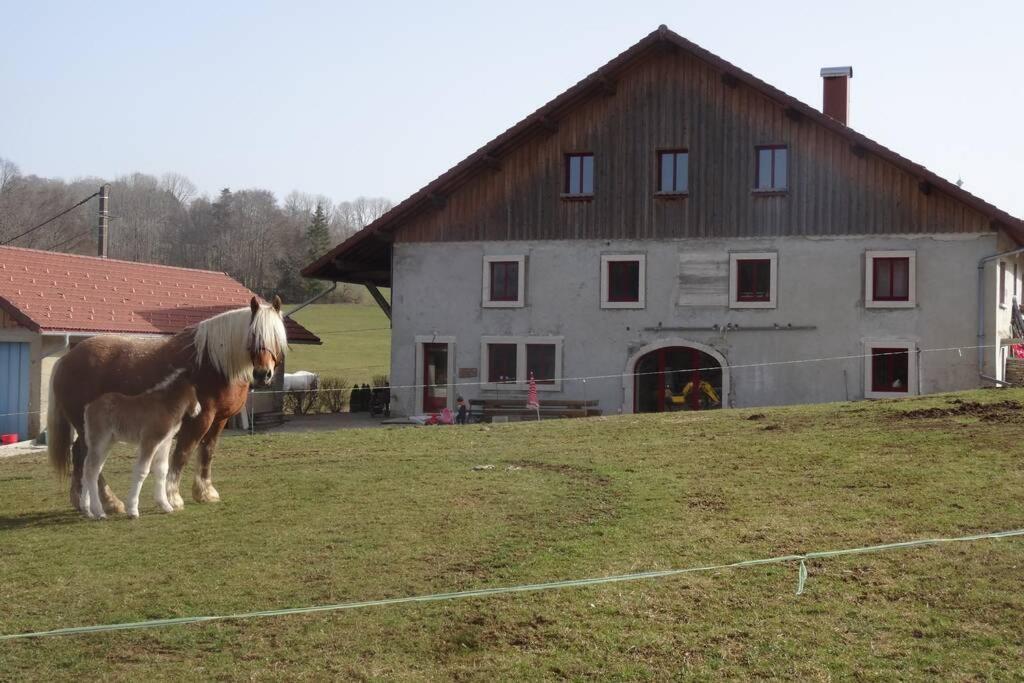 Holiday home Du Cheval Blanc Arcon (Doubs)