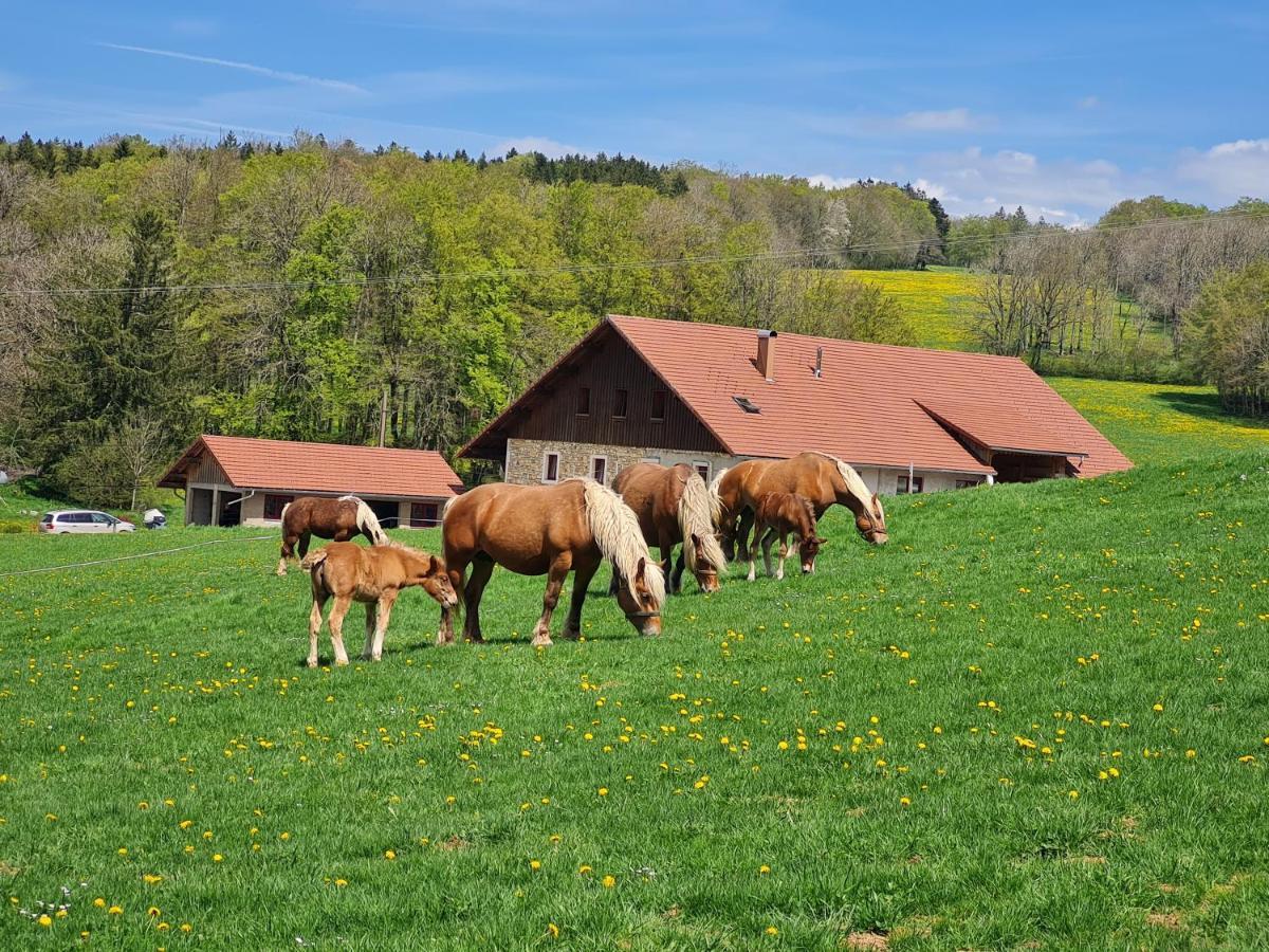 Holiday home Du Cheval Blanc