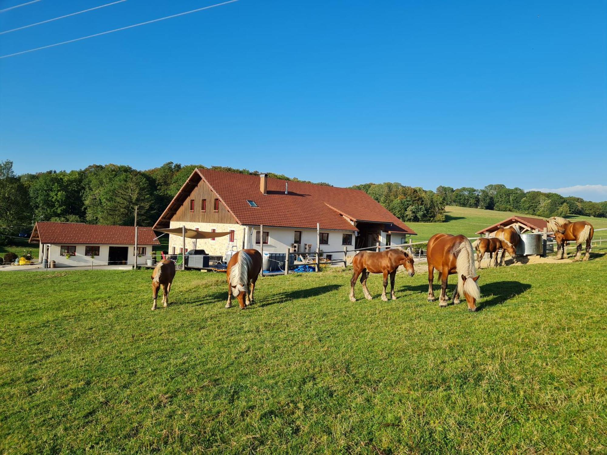 Holiday home Du Cheval Blanc Arcon (Doubs)